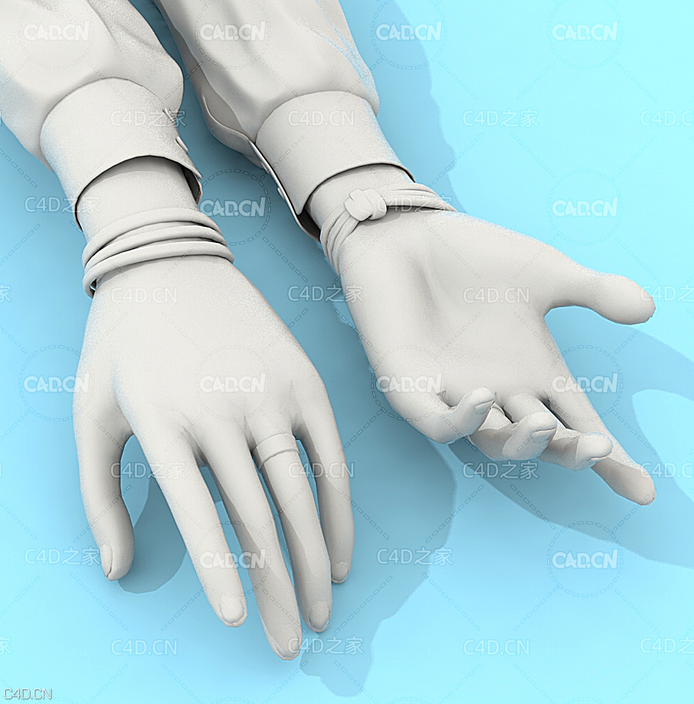 女人张开的手 女性胳膊C4D模型 Female