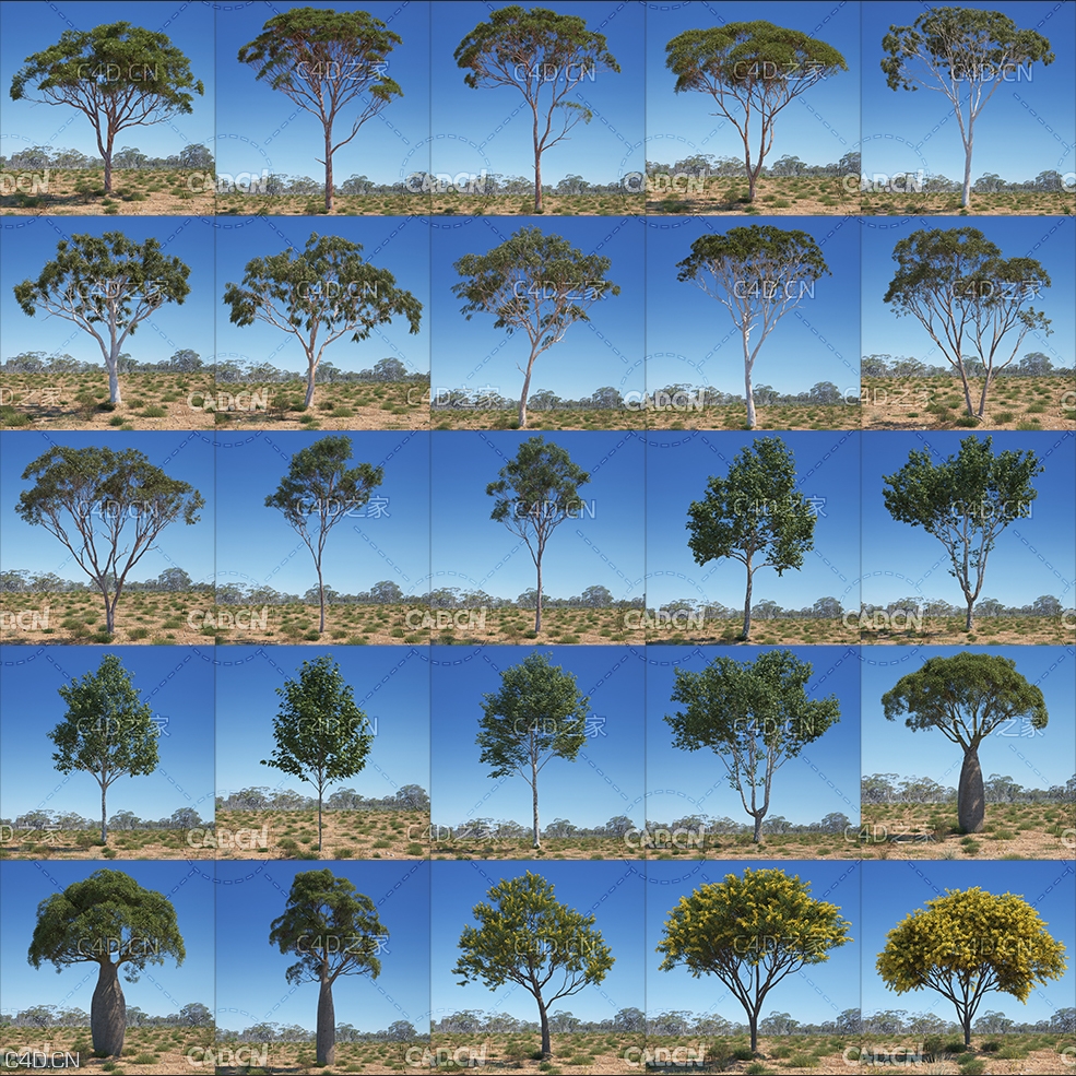 44棵澳大利亚和大洋洲树种MAX模型 Evermotion – Archmodels Vol.238 (3DS MAX格式) - C4D之家 - 未命名-1.jpg