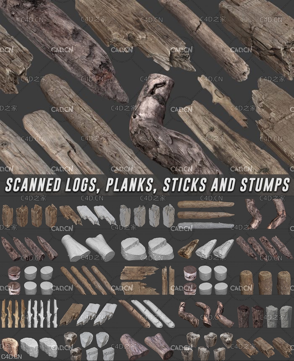 20个木桩朽木旧木头精细3D模型合集 SCANNED LOGS, PLANKS, STICKS AND STUMPS