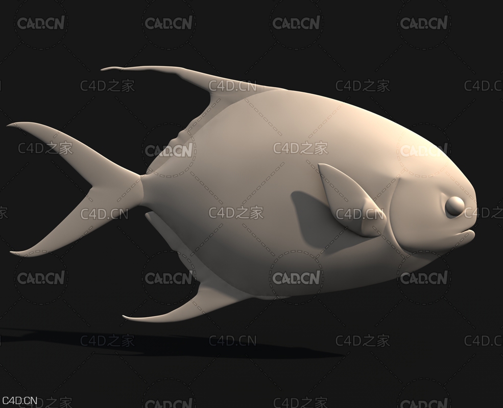 鲳鱼C4D模型 Pomfret - C4D之家 - 鲳鱼1.jpg