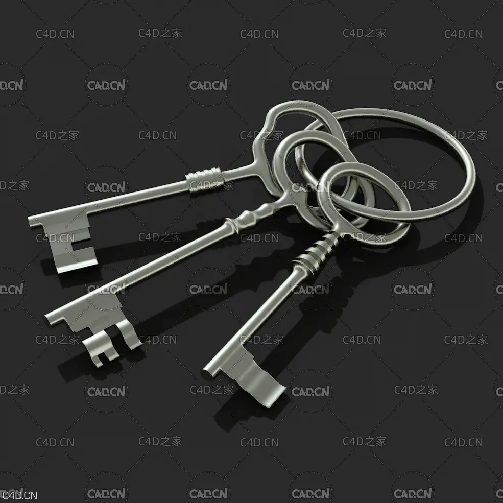 老式金属钥匙C4D模型 KEYS