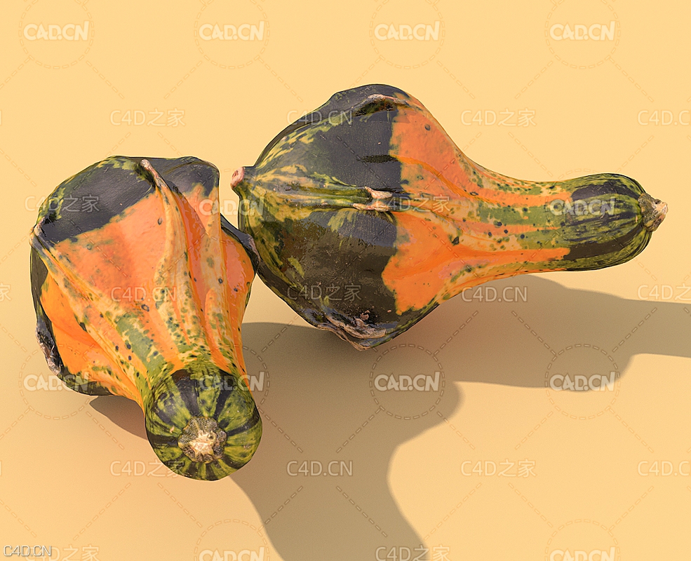 蔬菜南瓜C4D模型 Pumpkin 3d model