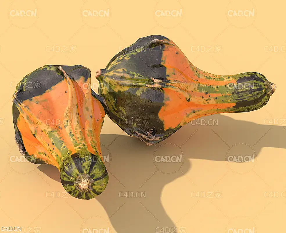 蔬菜南瓜C4D模型 Pumpkin 3d model - C4D之家 - 55.jpg