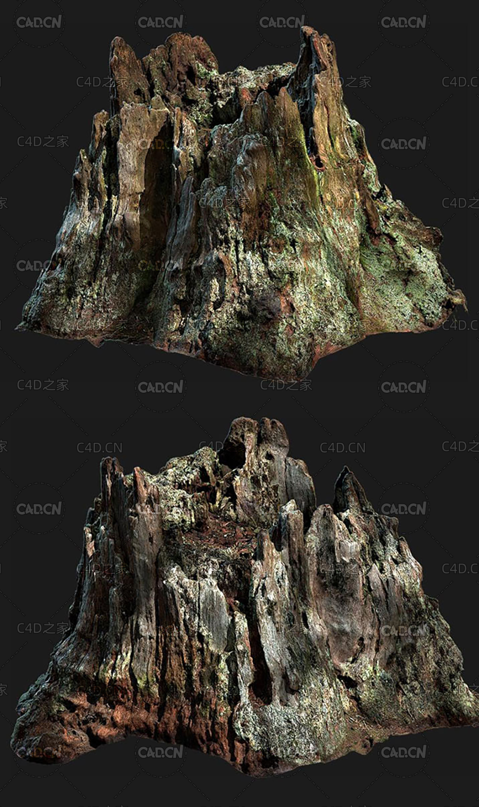 长满绿苔的枯树桩C4D OCTANE模型 Dead tree stump - C4D之家 - 20190901203317_40276.jpg