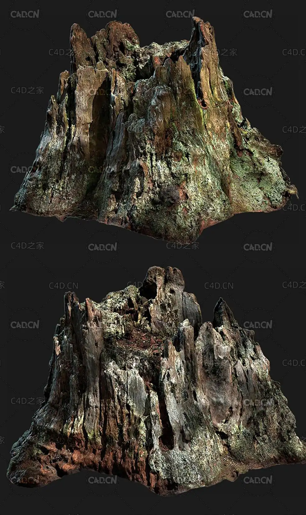 长满绿苔的枯树桩C4D OCTANE模型 Dead tree stump