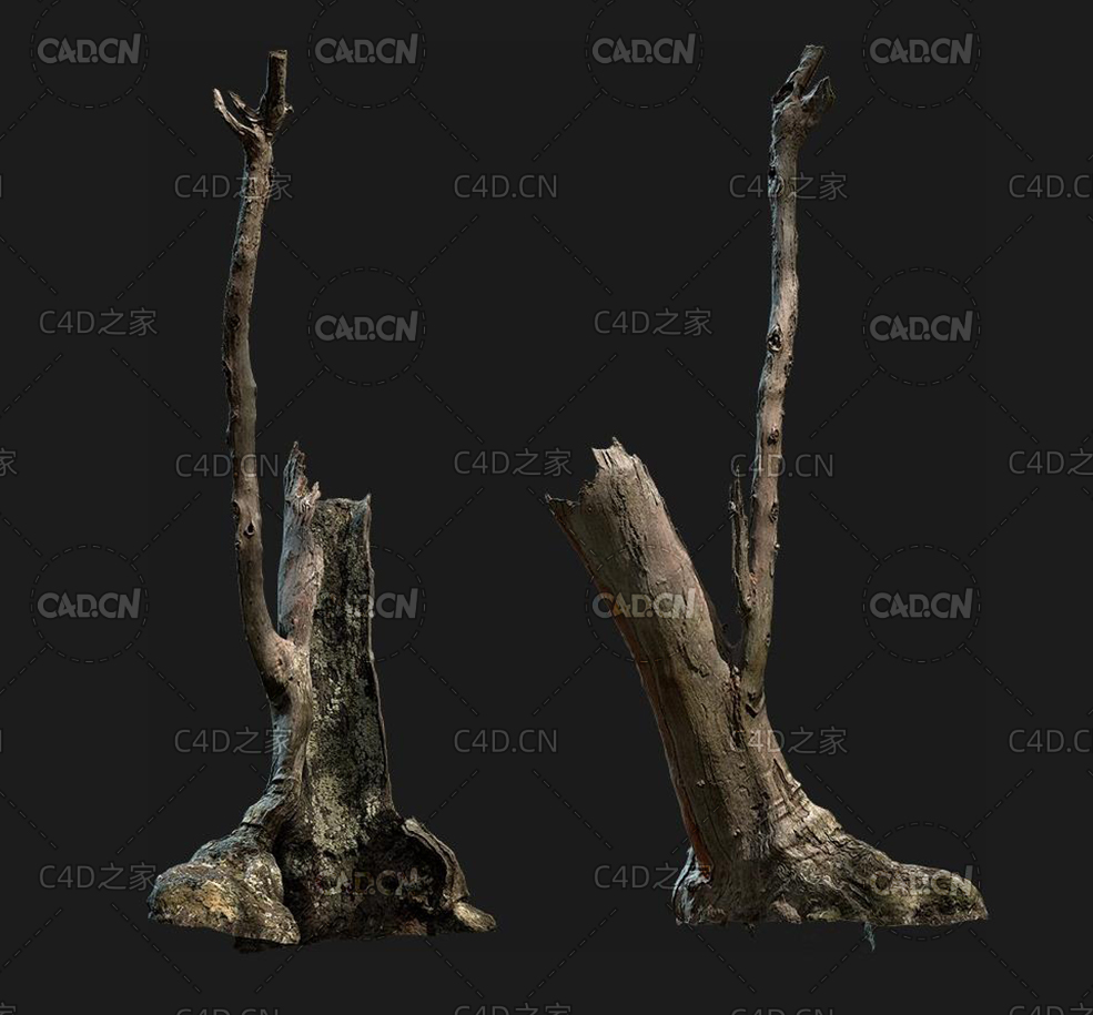 干枯的树桩树枝C4D OCTANE模型 set wood