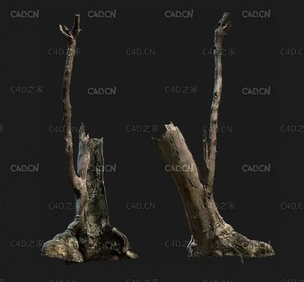 干枯的树桩树枝C4D OCTANE模型 set wood