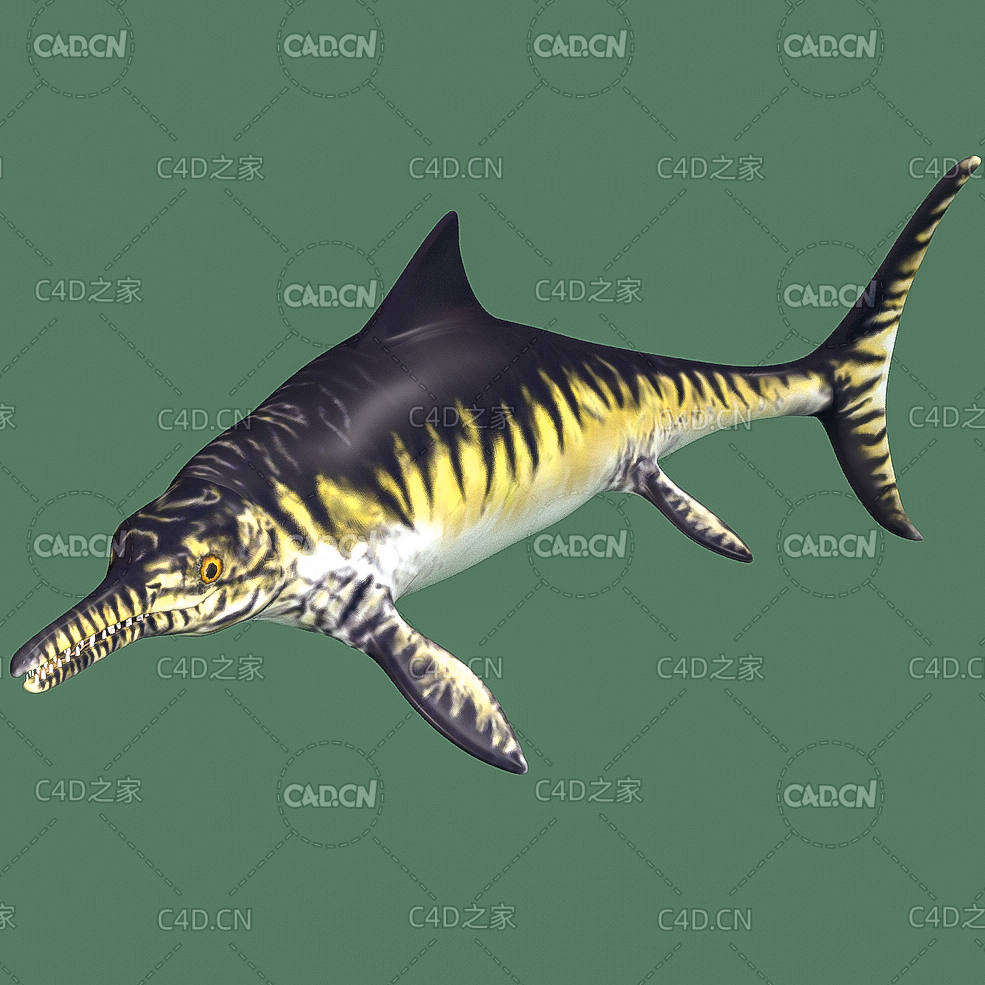侏罗纪晚期肉食性鱼龙大眼鱼龙C4D绑定动画模型 opthalmosaurus - C4D之家 - YU02-opthalmosaurus.jpg