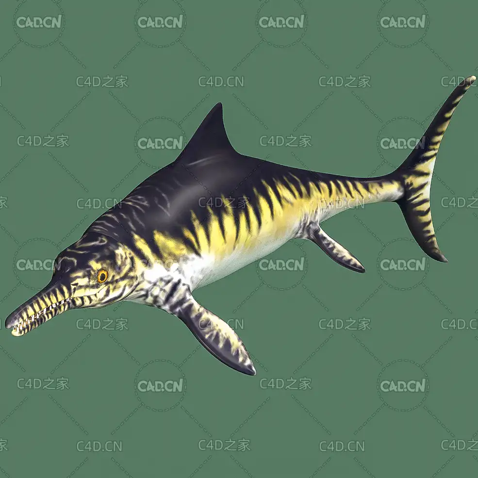 侏罗纪晚期肉食性鱼龙大眼鱼龙C4D绑定动画模型 opthalmosaurus - C4D之家 - YU02-opthalmosaurus.jpg