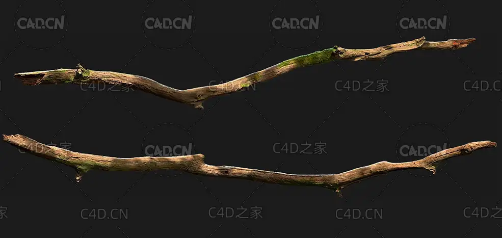 腐朽的绿苔树枝C4D OCTANE模型 wood branch