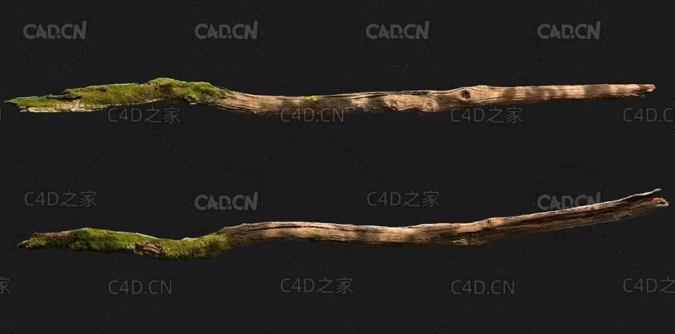 干枯的腐木枯树枝C4D OCTANE模型 wood branch