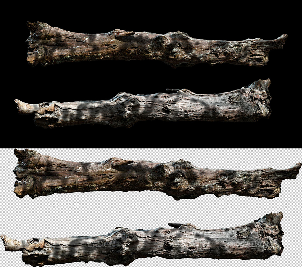 枯朽的松树树干C4D OCTANE模型 wood log - C4D之家 - 20190901221617_60916.jpg