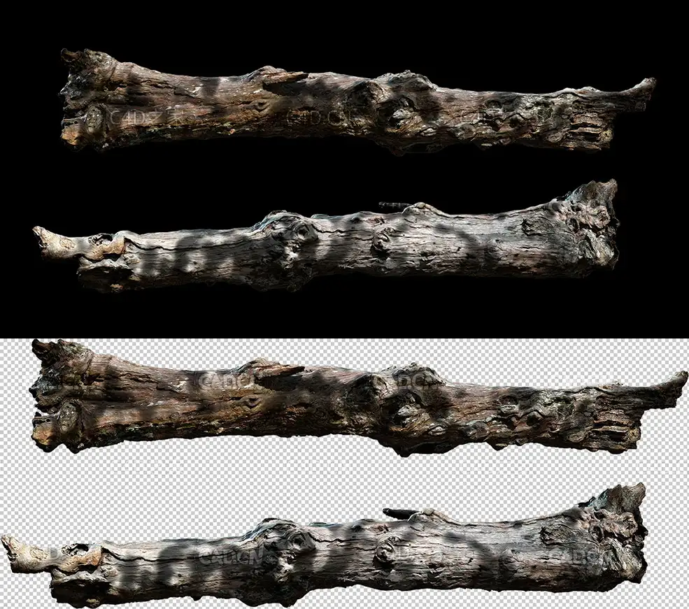 枯朽的松树树干C4D OCTANE模型 wood log - C4D之家 - 20190901221617_60916.jpg