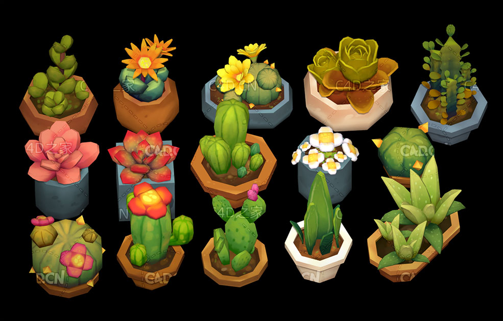 低面多边形多肉植物盆景C4D模型 succulent plants 3d model
