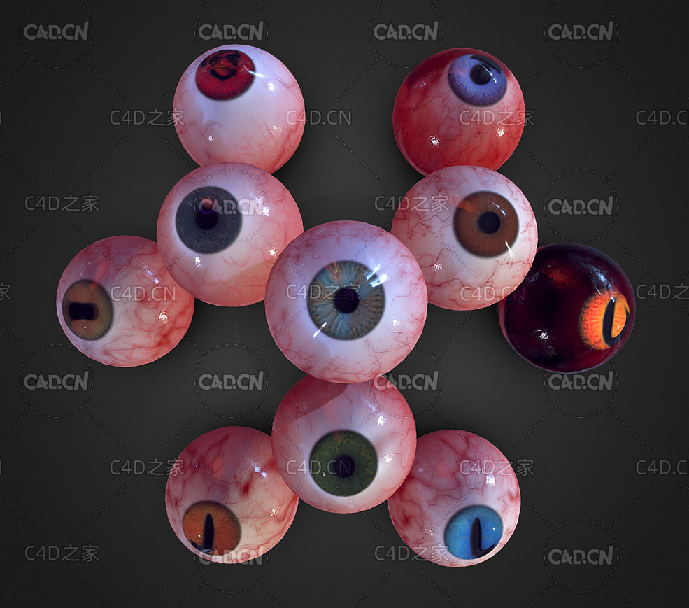 10个人物眼球C4D模型 eyeball - C4D之家 - 93.jpg