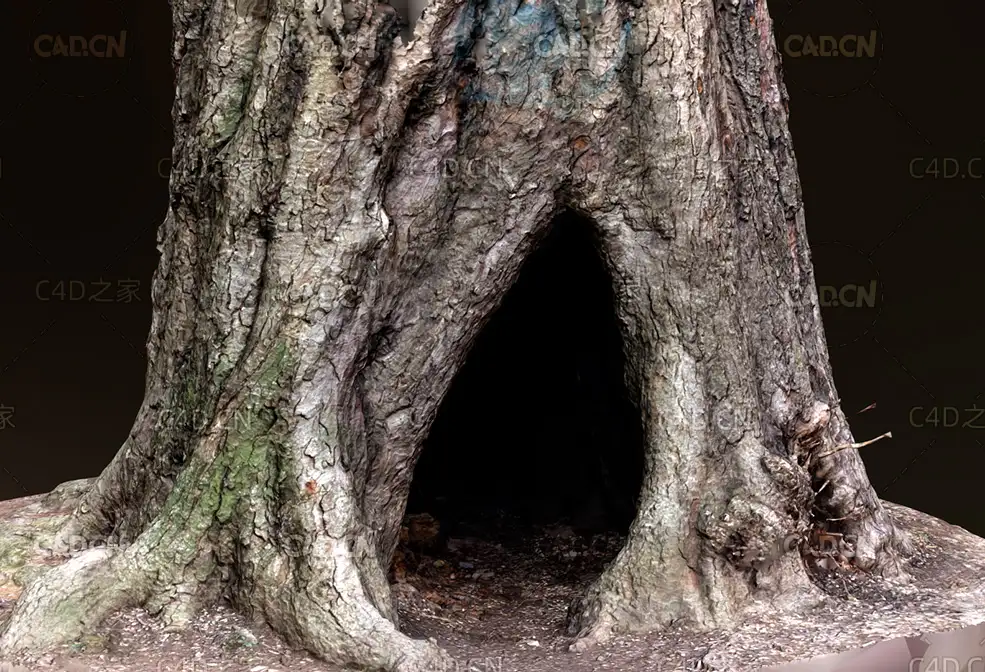 树根树洞3D扫描模型 Tree hole c4d model - C4D之家 - 10.jpg