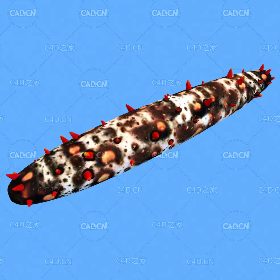 海参刺参C4D动画模型 sea cucumber c4d model - C4D之家 - 16.jpg