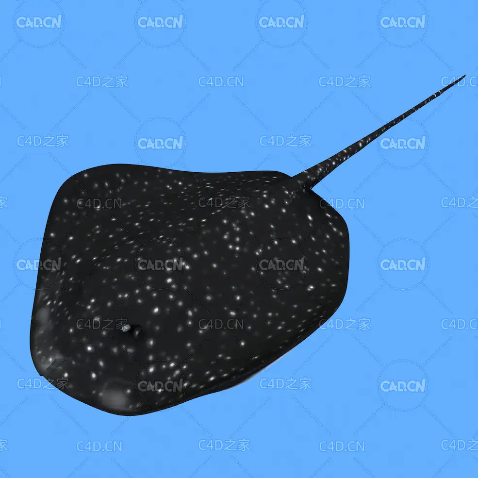刺魟鳐鱼蝠鲼C4D绑定动画模型 stingray c4d model - C4D之家 - 20.jpg