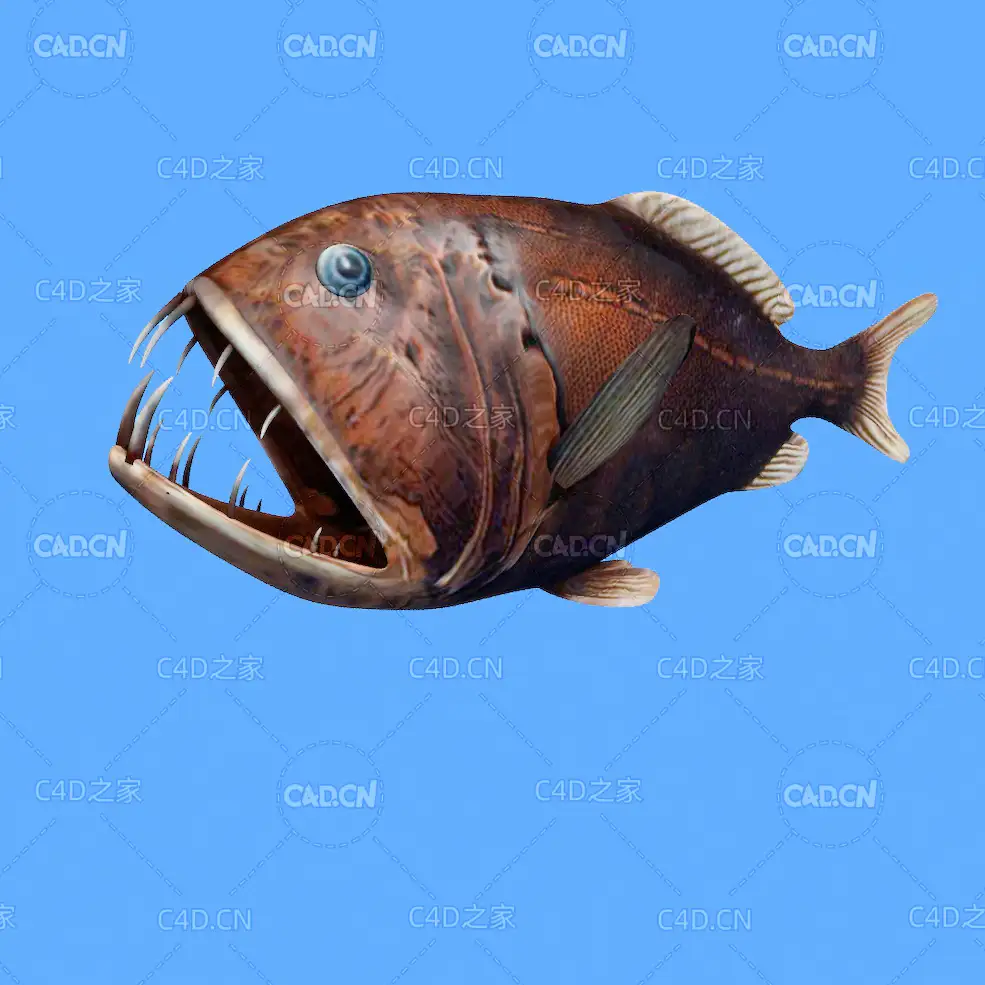 尖牙鱼C4D绑定动画模型 fangtooth c4d model - C4D之家 - 31.jpg