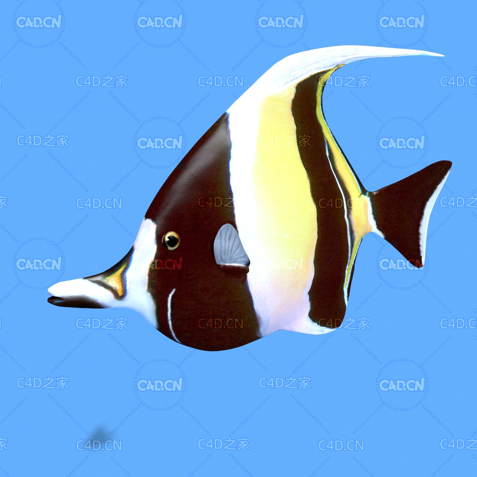 镰鱼C4D绑定动画模型 Moorish idol c4d model