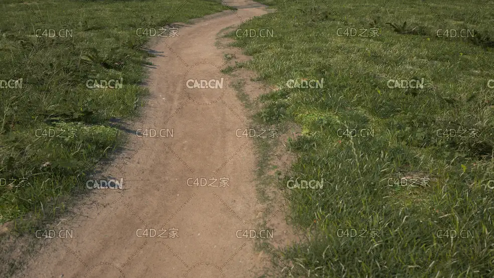 弯弯曲曲的乡间小路沙土路C4D模型 green belt path c4d model