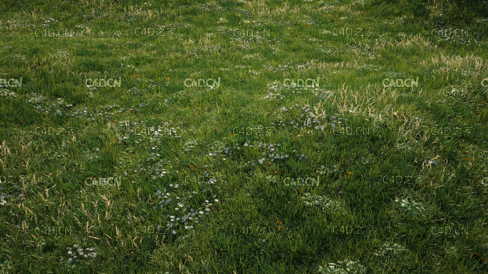 野花野草草地C4D VRAY场景模型 grass assets c4d model - C4D之家 - 04.jpg