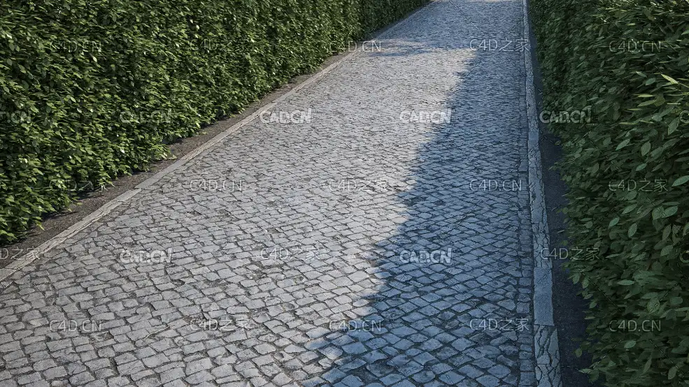 绿化带道路石头小路石头路面贴图模型 green belt path c4d model - C4D之家 - 05.jpg