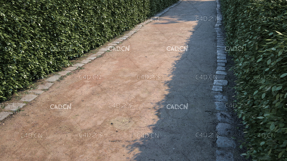 绿化带泥土道路贴图模型 green belt path c4d model