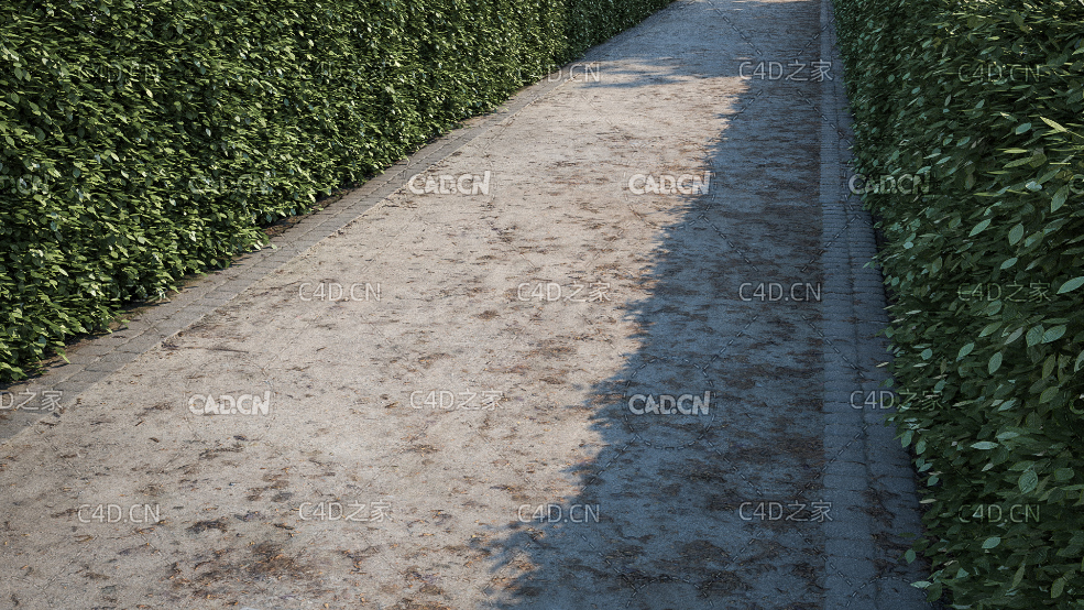 绿化带景观道路水泥硬化路面贴图模型 green belt path c4d model