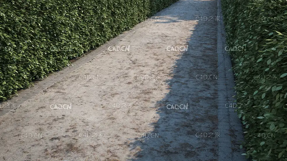 绿化带景观道路水泥硬化路面贴图模型 green belt path c4d model