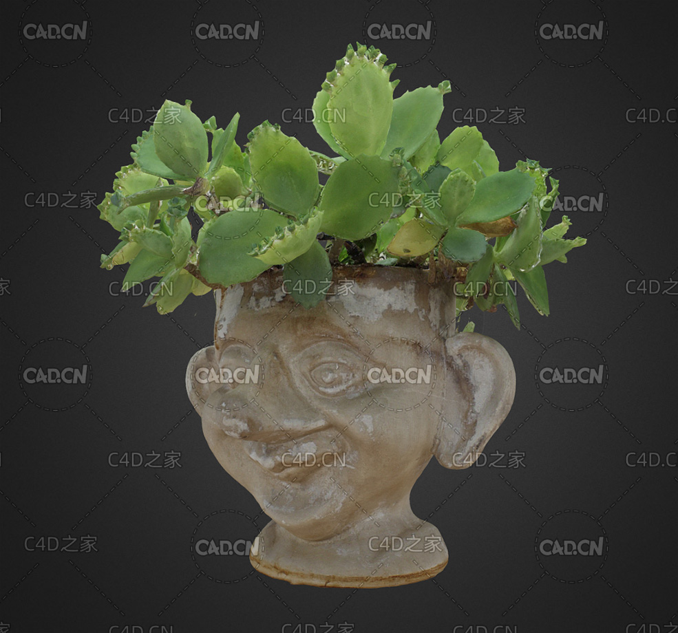 可爱头像花盆C4D模型 Avatar flowerpot - C4D之家 - 38.jpg