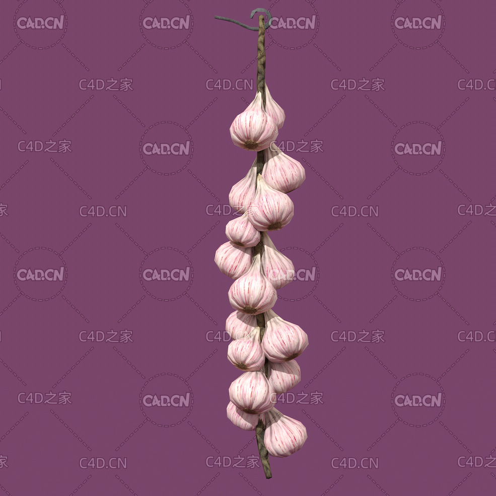 一串蒜辫子C4D模型 - C4D之家 - 29.jpg