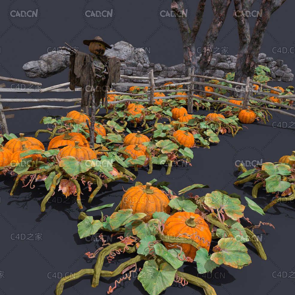 地里生长的南瓜蔓C4D模型 pumpkin - C4D之家 - 31.jpg
