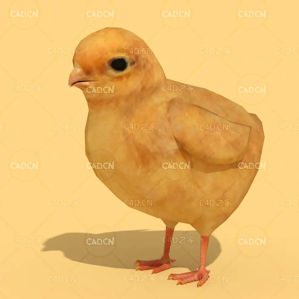 低面小鸡绑定动画C4D模型 chick