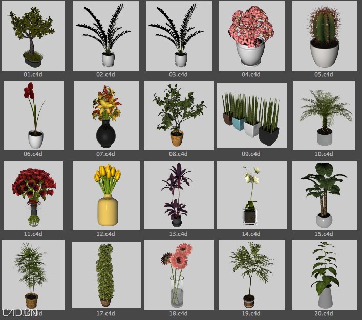 20个盆景C4D模型预设（lib4d） bonsai 3d models