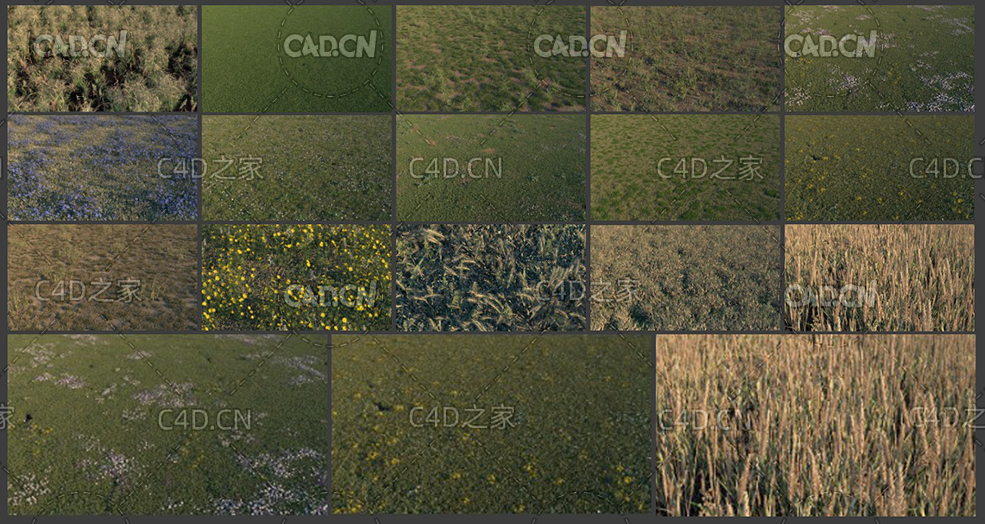 15个C4D OCTANE写实草地模型预设 Grassland c4d lib4d
