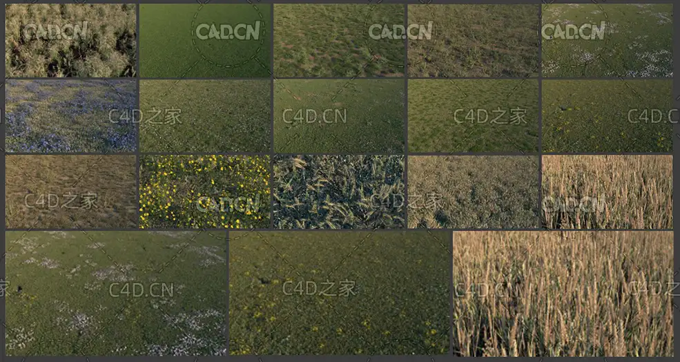 15个C4D OCTANE写实草地模型预设 Grassland c4d lib4d