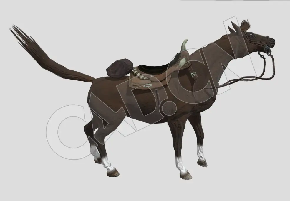 马鞍棕色骏马奔跑C4D动画模型 horse