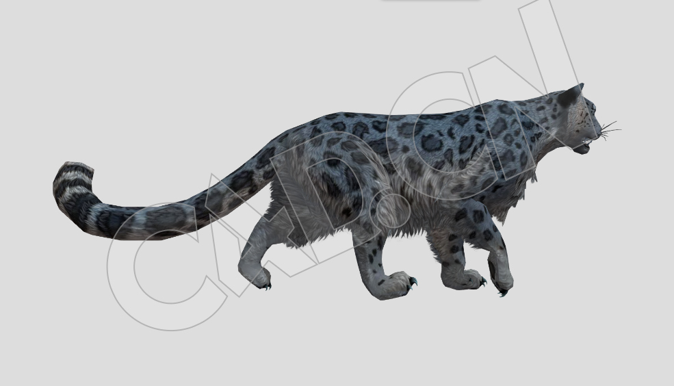 低面行走的豹子动物C4D模型(包含骨骼绑定和动画) - C4D之家 - 27-1.jpg