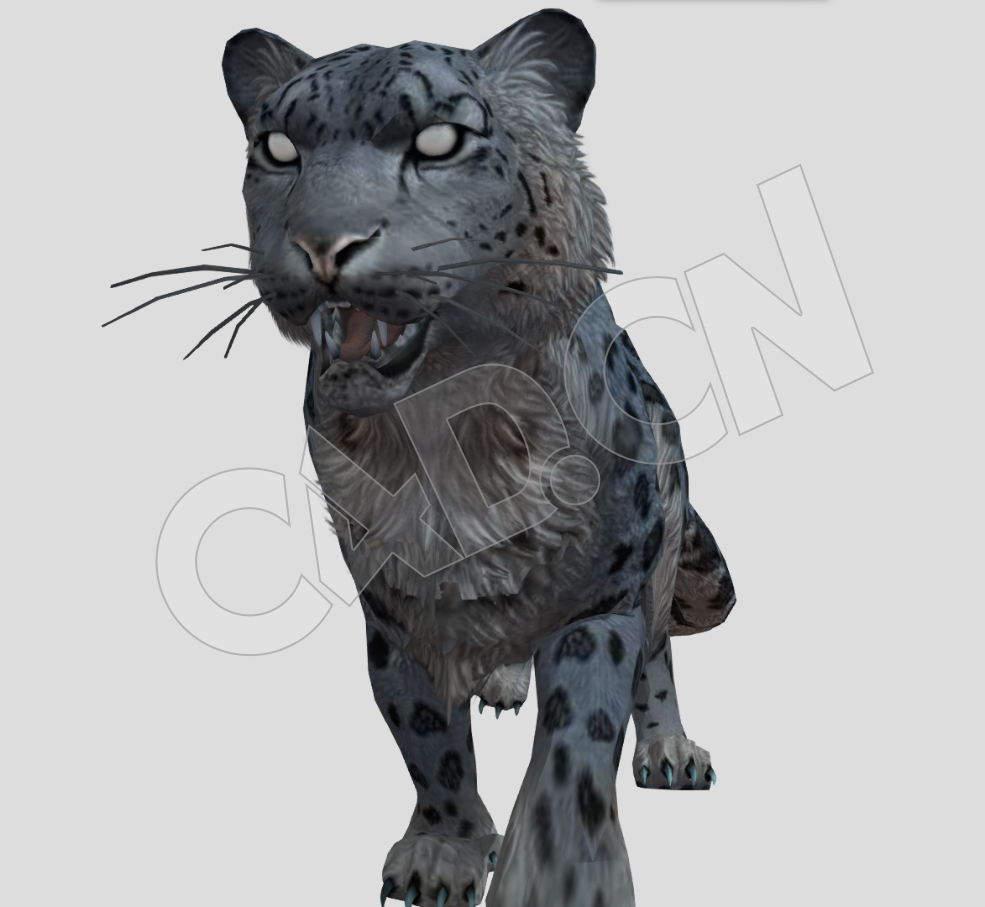低面行走的豹子动物C4D模型(包含骨骼绑定和动画) - C4D之家 - 27-2.jpg
