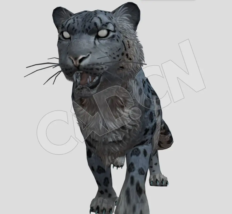 低面行走的豹子动物C4D模型(包含骨骼绑定和动画) - C4D之家 - 27-2.jpg