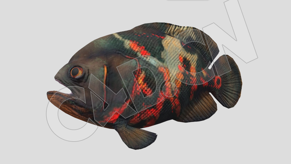 map鱼奥斯卡鱼游泳动画C4D模型