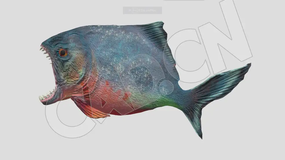 食人鱼游动动画C4D模型