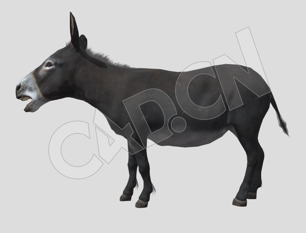 小毛驴C4D动画模型 Donkey