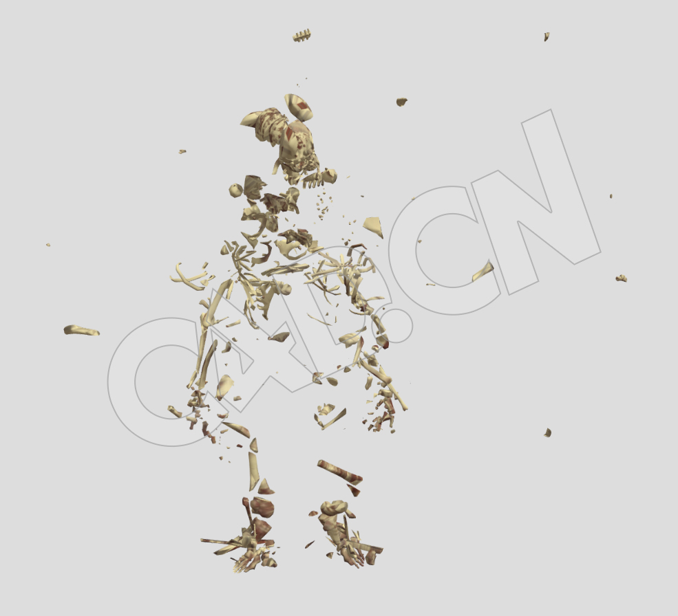 人体骷髅骨架破碎动画C4D模型 Skeleton - C4D之家 - 55-2.jpg