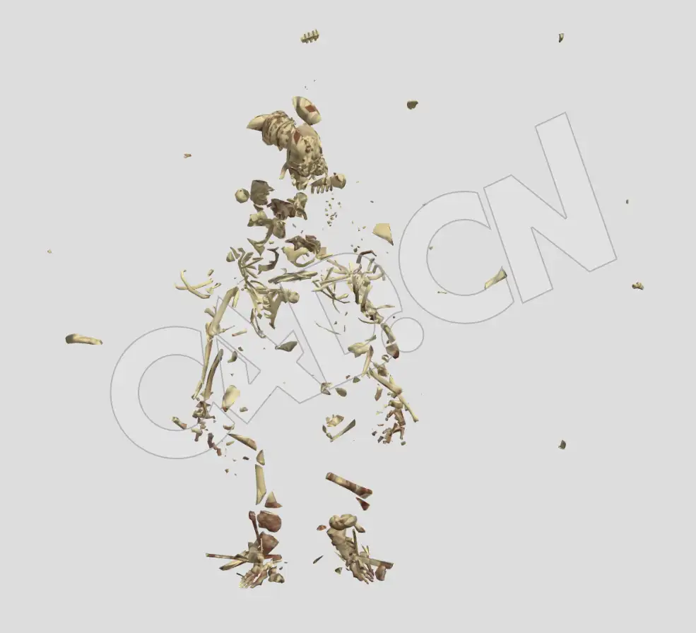 人体骷髅骨架破碎动画C4D模型 Skeleton - C4D之家 - 55-2.jpg