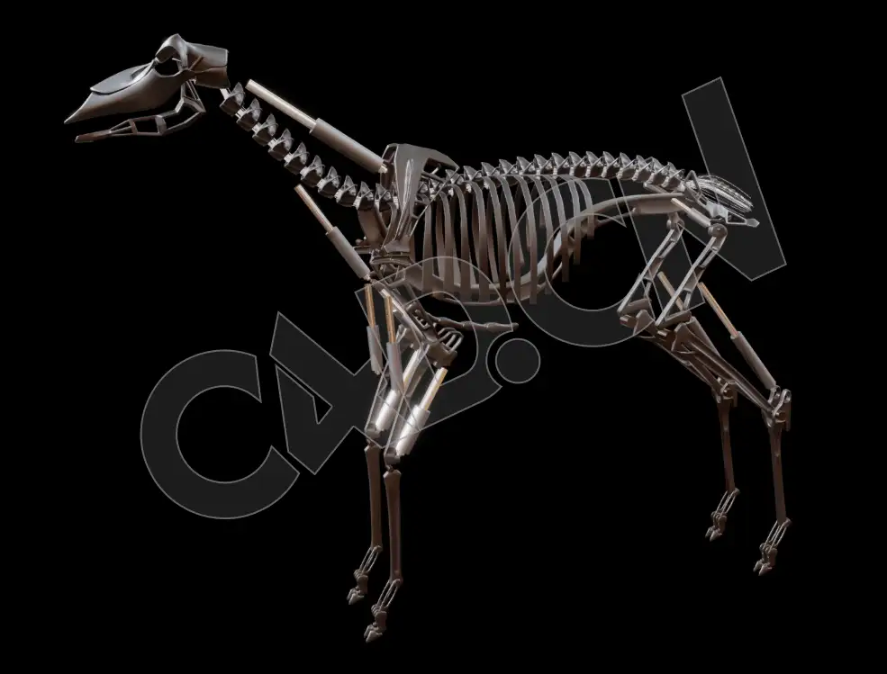 金属骨架机械动物C4D模型 - C4D之家 - 71.jpg