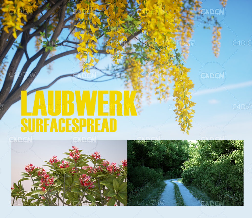 C4D植物树木生成插件 Laubwerk SurfaceSPREAD v2.0.4 For Cinema 4D R23 Win