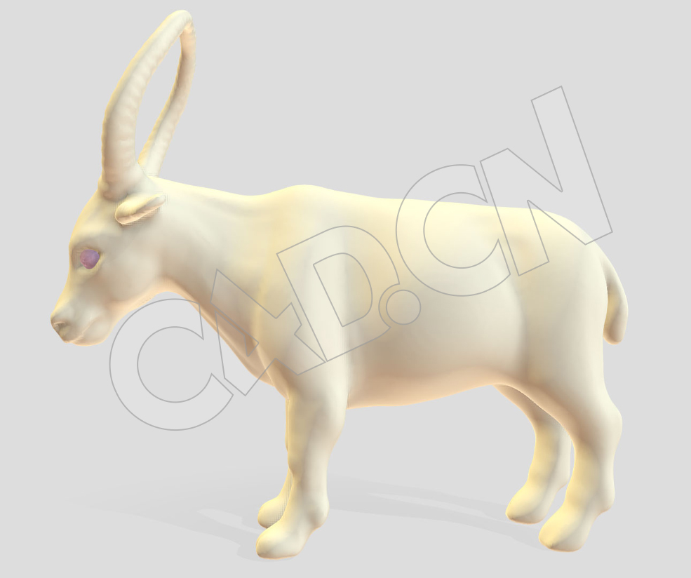 双角连接的长角牛C4D模型 cow