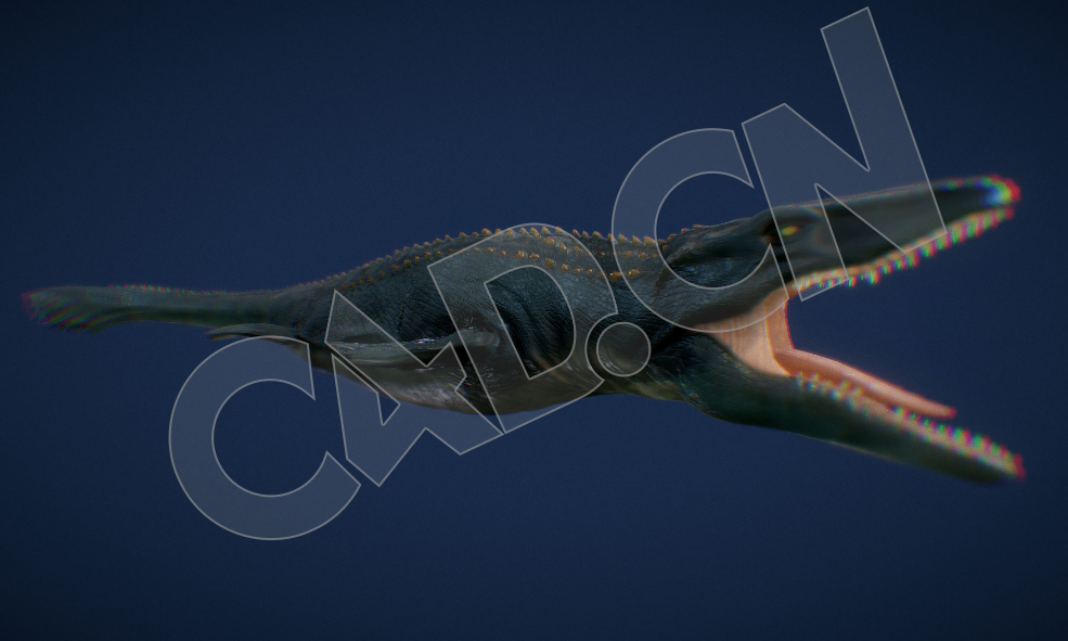 沧龙C4D模型（含骨骼绑定）Mosasaurus